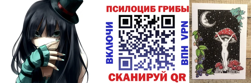 закладка  Грязовец  Псилоцибиновые грибы Cubensis 