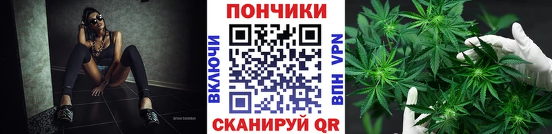 shop наркотические препараты  Грязовец  Марихуана LSD WEED 
